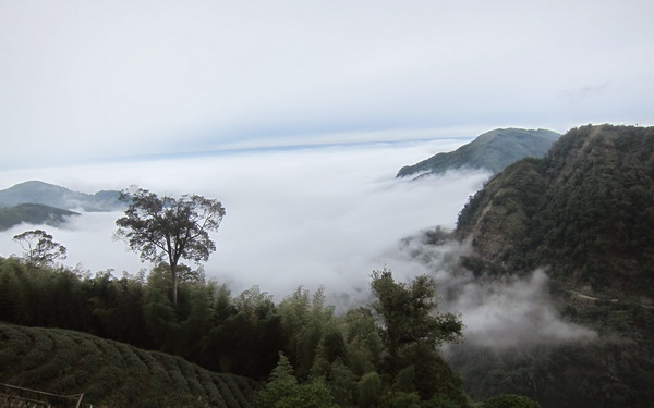 照片：「cocoapie」BLOG