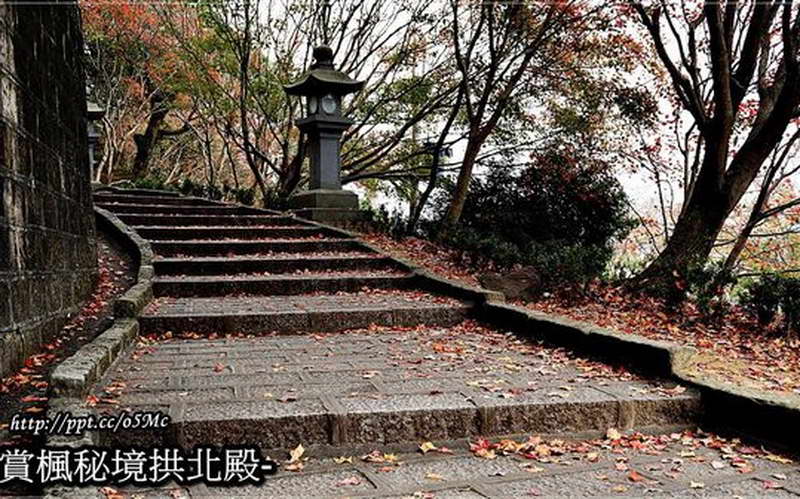 照片：「饅頭弟」BLOG