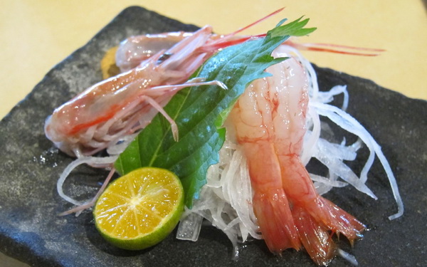 照片：「cocoapie」BLOG