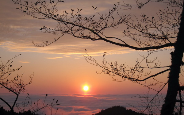 照片：「cocoapie」BLOG