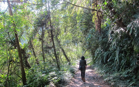 照片：「cocoapie」BLOG