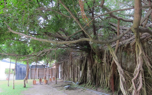 照片：「cocoapie」BLOG