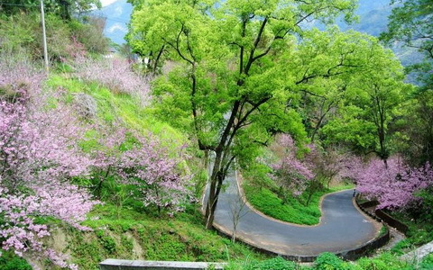 照片：「嘎眯」BLOG