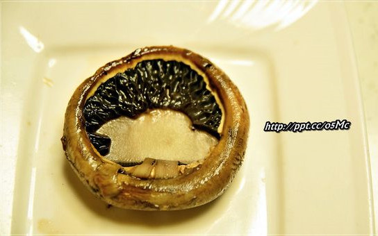 照片：「饅頭弟」BLOG