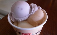 照片：「Julia」BLOG