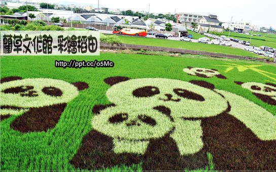 照片：「饅頭弟」BLOG