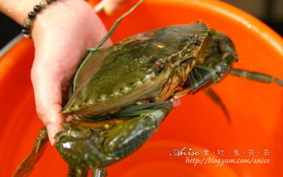 照片：「Anise」BLOG
