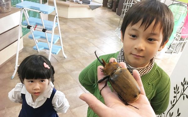 照片：「Jarren & Elsa」BLOG