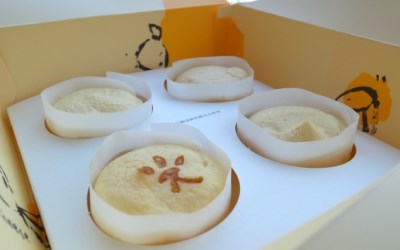 照片：「Abby」BLOG