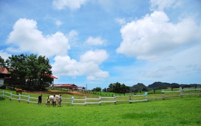 照片：「TAO」BLOG