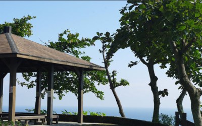 照片：「julia」BLOG