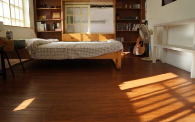 照片：「妮可」BLOG