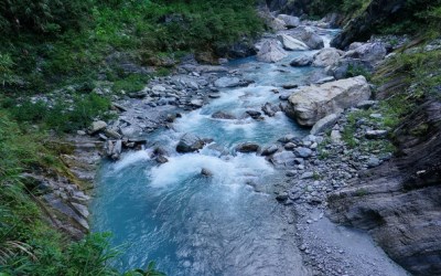 照片：「球球」BLOG