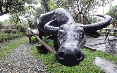 照片：「妮可」BLOG