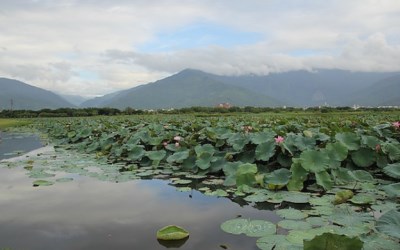 照片：「棋子」BLOG