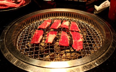 照片：「披著虎皮的貓」BLOG