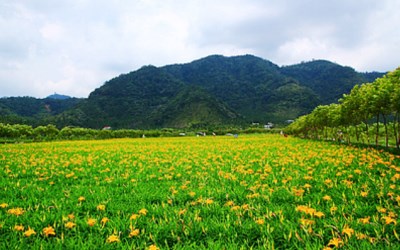 照片：「富嵃」BLOG