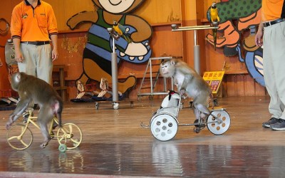 照片：「佑佑皮皮」BLOG