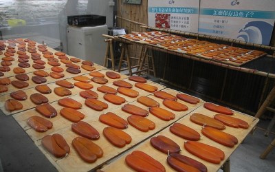 照片：「佑佑皮皮」BLOG