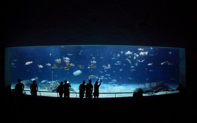 照片：「bluehawaii」BLOG