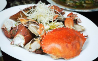 照片：「Tiss」BLOG