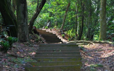 照片：「肉魯」BLOG
