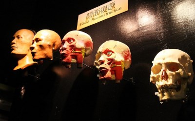 照片：「佑佑皮皮」BLOG