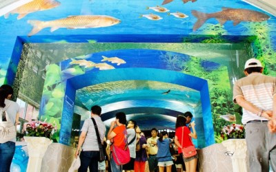 照片：「黃大黃=阿春爸」BLOG