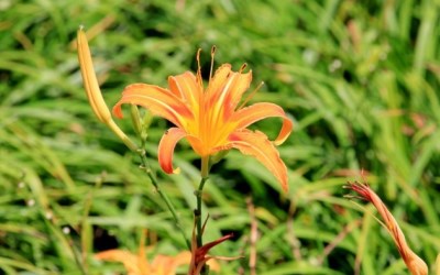 照片：「小兔」BLOG