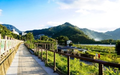 照片：「moni」BLOG