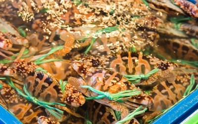 照片：「小虎」BLOG