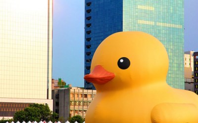 照片：「ping」BLOG