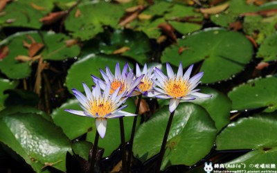 照片：「轉角」BLOG