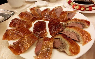照片：「披著虎皮的貓」BLOG