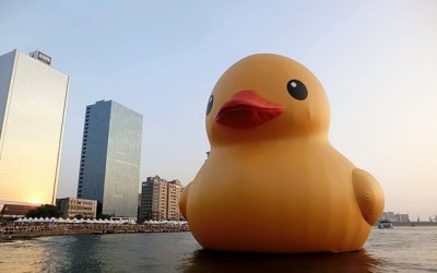 照片：「披著虎皮的貓」BLOG