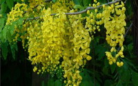 照片：「阿珠珠」BLOG