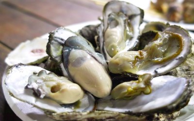照片：「謝蘿莉」BLOG
