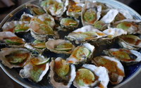 照片：「妮可」BLOG