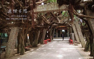 照片：「小恩恩」BLOG