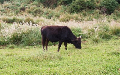 照片：「薇樂莉愛旅行」BLOG