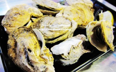 照片：「Disni」BLOG