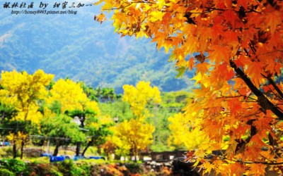 照片：「Cat-Lin」BLOG