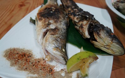 照片：「妮可」BLOG