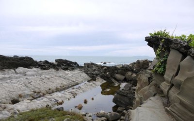 照片：「小靜怡」BLOG