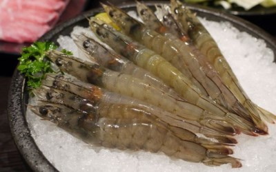照片：「小靜怡」BLOG