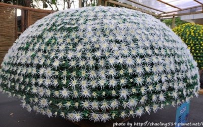 照片：「妃媽」BLOG