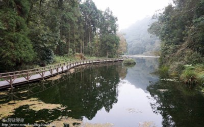 照片：「Tiss」BLOG