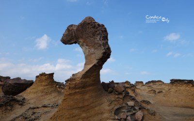 照片：「小沁」BLOG