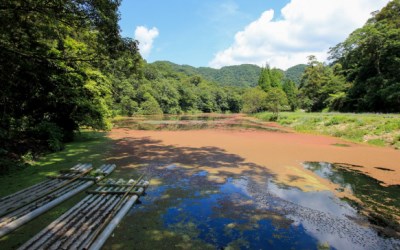 照片：「葉訪」BLOG