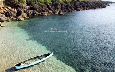照片：「vivi wu」BLOG